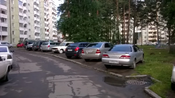 Сегодня утром в нашем дворе