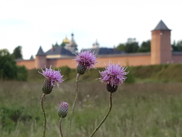 Спасо-Евфимиева обитель — монастырь-крепость, и да же тюрьма