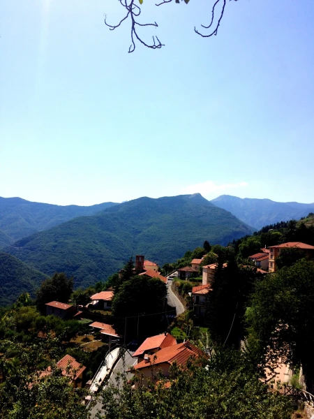панорама