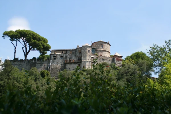 castle Brown