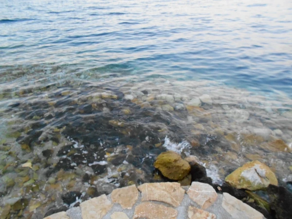 прозрачность морской воды конца сентября