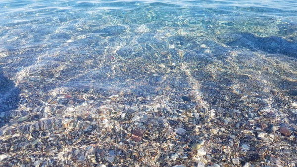 вода прозрачная даже на глубине