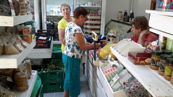 выбрали дыни и виноград