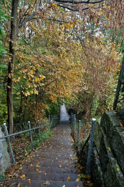 Дорога к реке