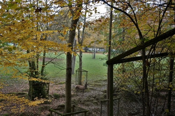 Парк животных Wildpark Heitern