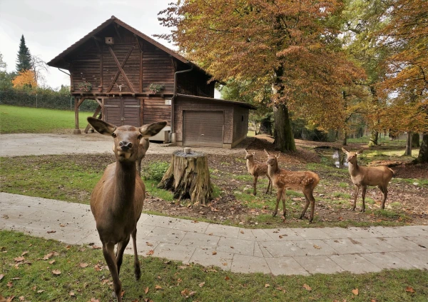 Парк животных Wildpark Heitern
