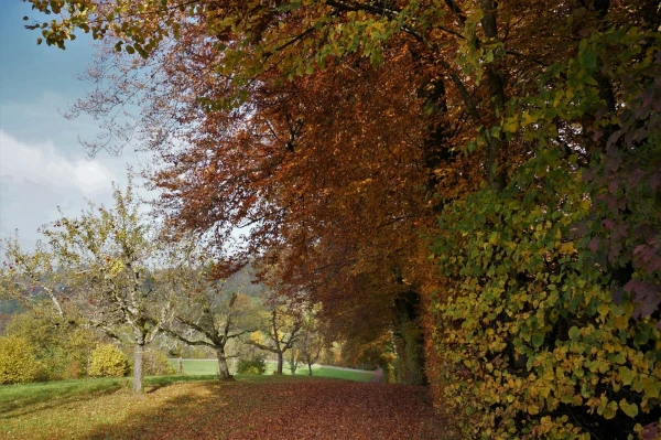 Парк животных Wildpark Heitern