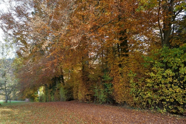 Парк животных Wildpark Heitern