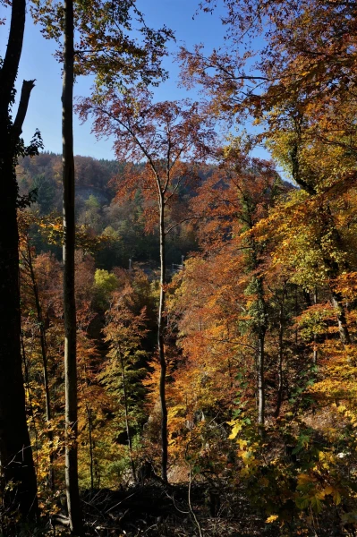 Осень - самое фотогеничное время года!