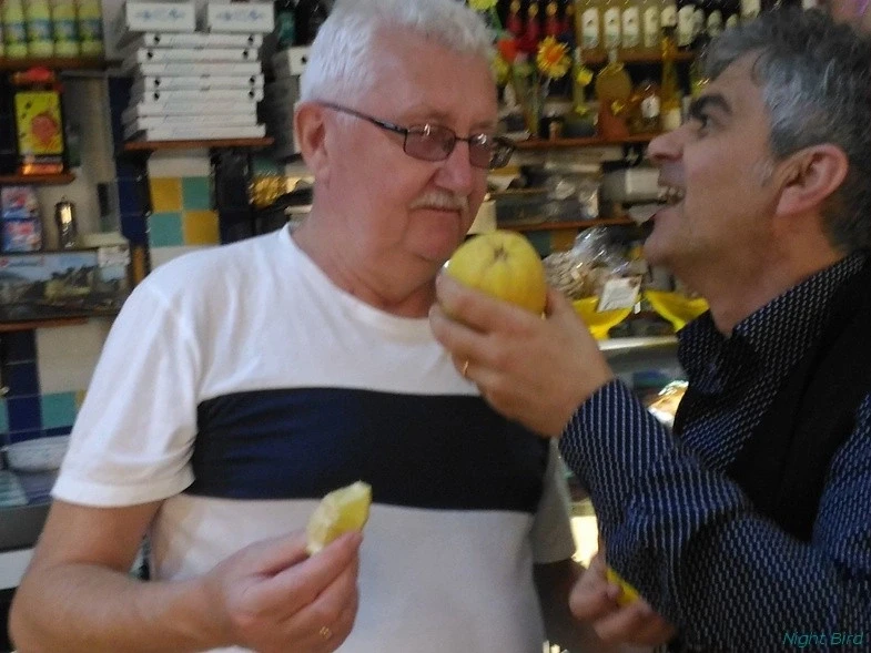 Хозяин магазинчика:*Это НАСТОЯЩИЕ лимоны!*