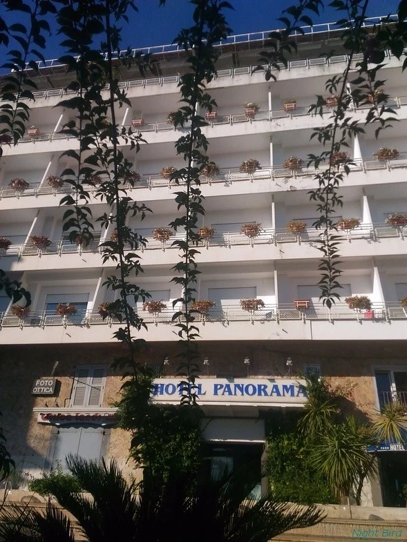 Отель *Панорама*.
