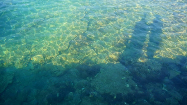 Водичка на Словенском пляже