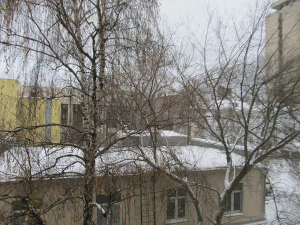 вид из окна в отеле