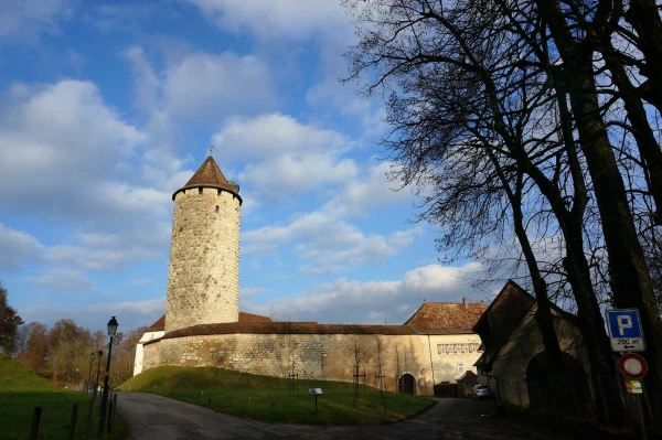 Фестиваль дикого кабана в Porrentruy