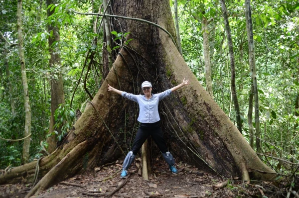 Данум Вэлли в Малайзии на острове Борнео Национальный заповедник Danum Valley Conservation Area Borneo.