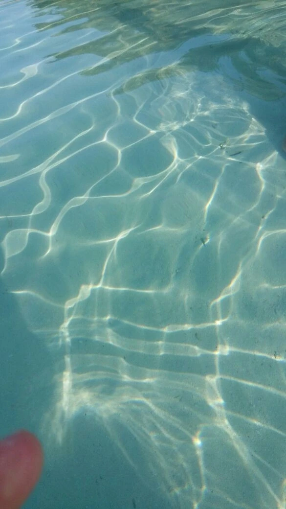 Вода..