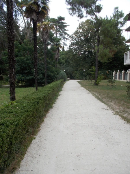 В парке Южных культур