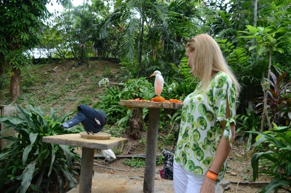 KL Bird Park Kuala-Lumpur Malaysia - парк птиц в Куала-Лумпур Малайзия