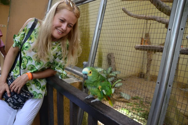 KL Bird Park Kuala-Lumpur Malaysia - парк птиц в Куала-Лумпур Малайзия
