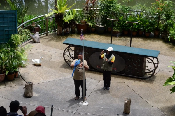 KL Bird Park Kuala-Lumpur Malaysia - парк птиц в Куала-Лумпур Малайзия