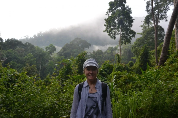Подвесная канатная дорога на Борнео в заповеднике Канопи-волквэй Canopy walkway Danum Valley
