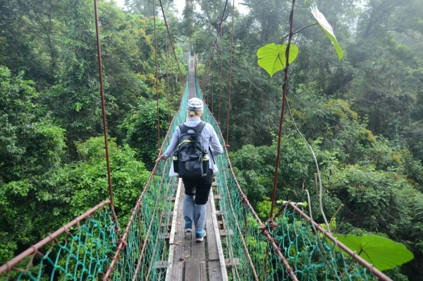 Канатная дорога Канопи-волквэй на острове Борнео Canopy walkway Danum Valley Borneo