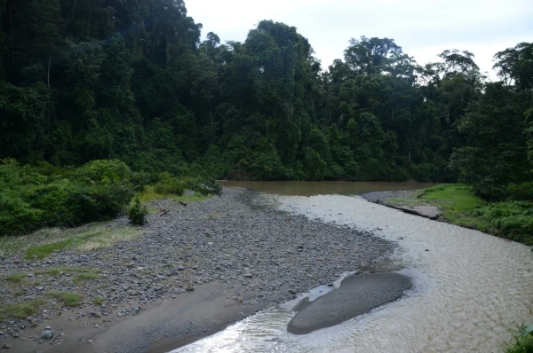 Borneo Rainforest Lodge Danum Valley