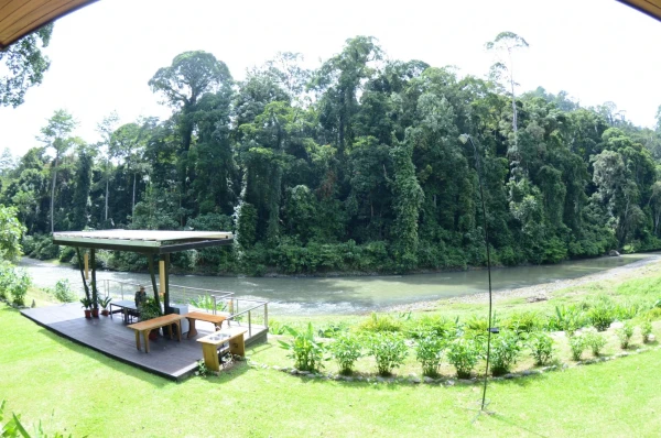 Borneo Rainforest Lodge Danum Valley