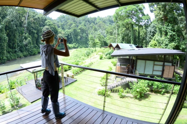 Borneo Rainforest Lodge Danum Valley