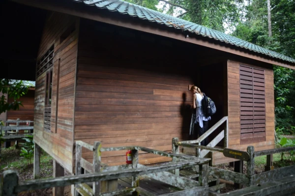 Borneo Rainforest Lodge Danum Valley