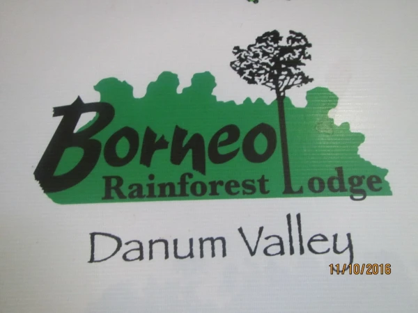 Borneo Rainforest Lodge Danum Valley - пожалуй, лучший лодж не только на острове Борнео.