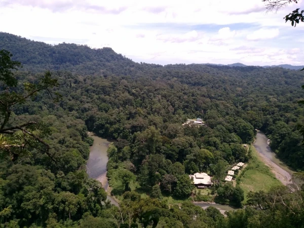 Borneo Rainforest Lodge Danum Valley