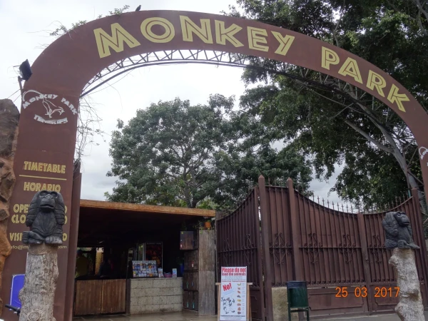Monkey Park, начало туристической жизни...