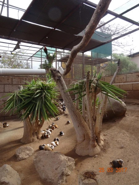 Monkey Park