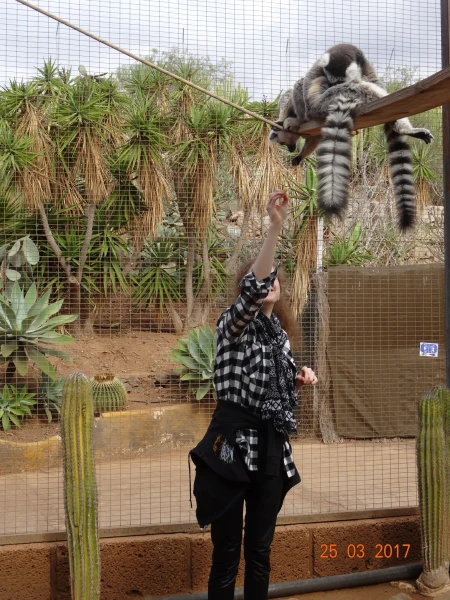 Monkey Park. В парке monkey - не все...