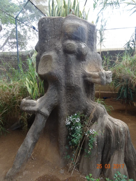Monkey Park