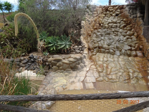 Monkey Park. В парке monkey - не все...