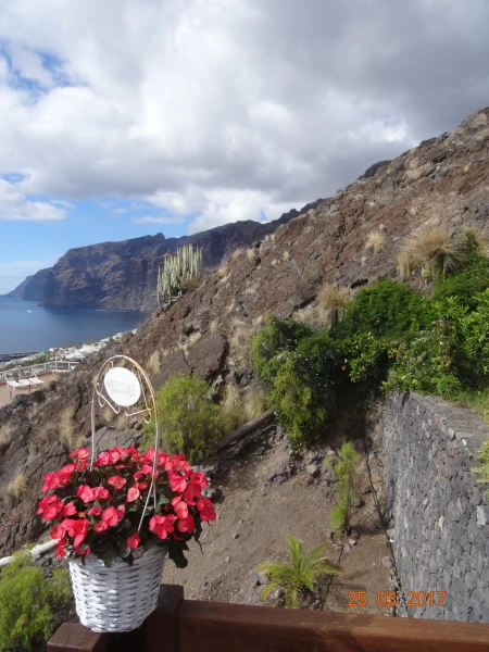 Los Gigantes...