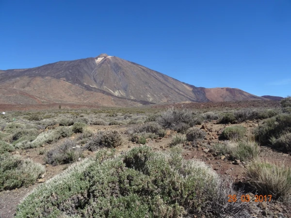 Parador de Canadas del Teide: виды...