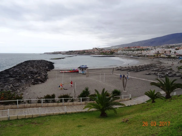 Playa Torviscas