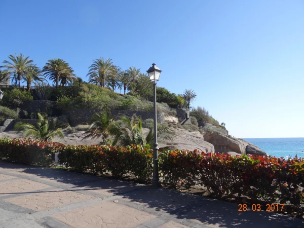 Playa del Duque