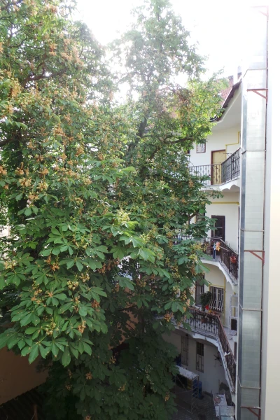 внутри отеля