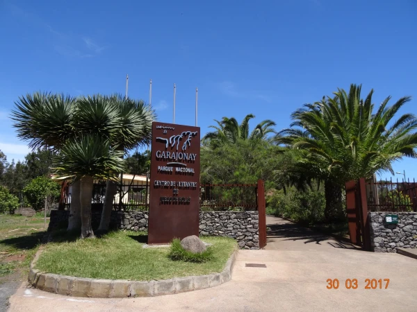 Parque Nacional Garajonay: Centro de Visitantes de Juego de Bolas...