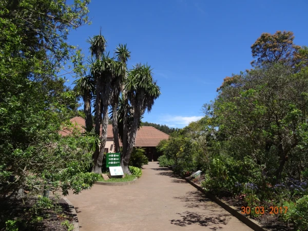 Parque Nacional Garajonay: Centro de Visitantes de Juego de Bolas...