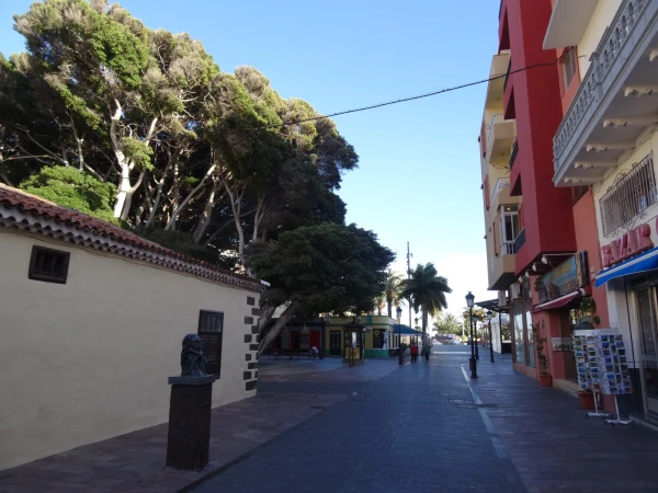 Calle Real