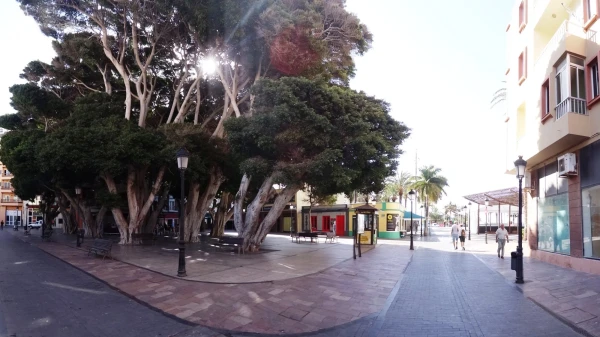Plaza de la Constitucion