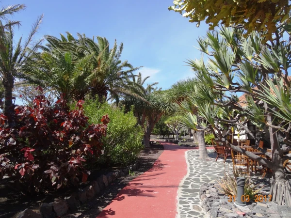 Parador de La Gomera: виды из отеля и в самом отеле...
