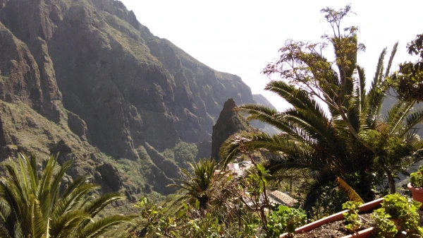 Masca...
