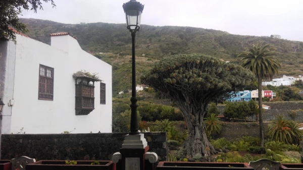 Parque del Drago