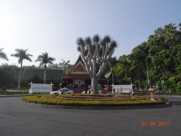 Loro Parque
